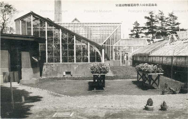 hs265-Hokkaido Imperial University 北海道帝国大学付属植物園温室