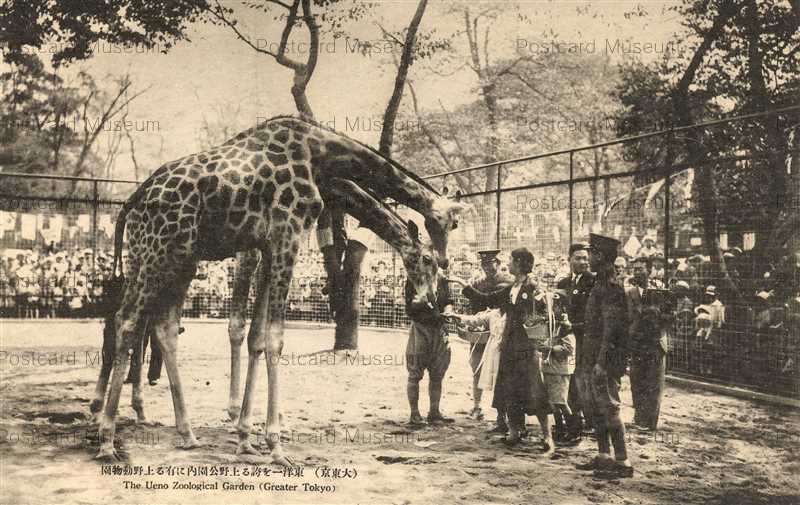 tab590-Ueno Zoological Garden 東洋一を誇る上野公園内に有る上野動物園 大東京 | 絵葉書資料館
